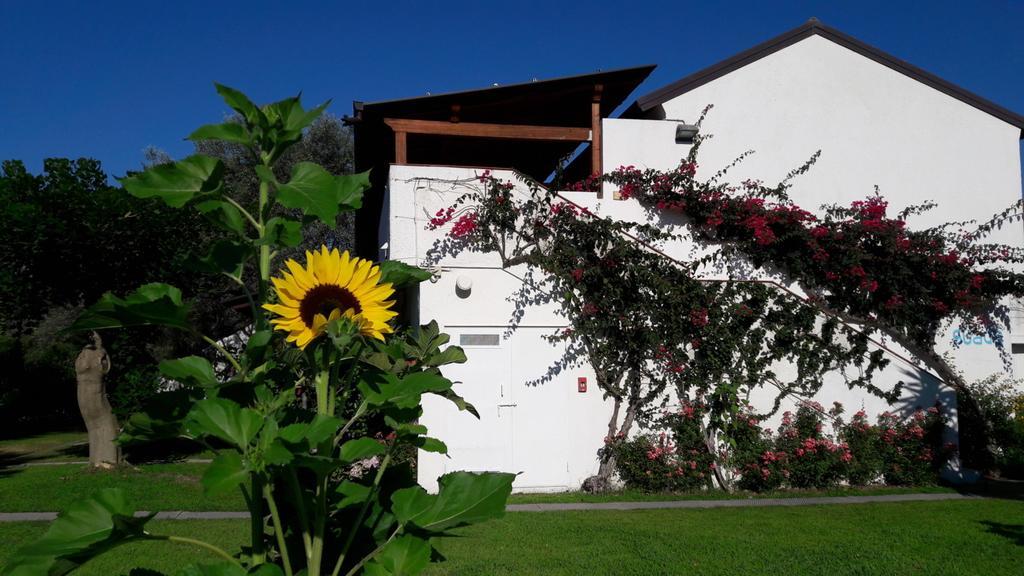 风之谷村酒店 圣安德雷亚阿波斯托洛德洛约尼奥 外观 照片